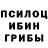 Псилоцибиновые грибы прущие грибы Giovana Rocha