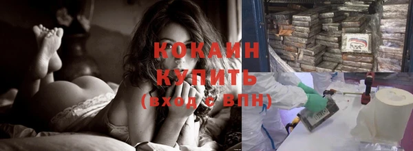 хмурый Абаза