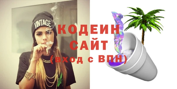 хмурый Абаза