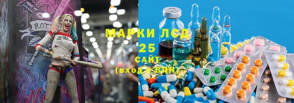 хмурый Абаза