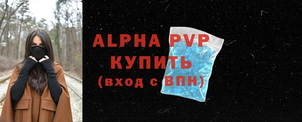 хмурый Абаза